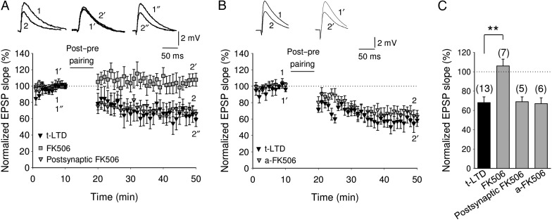 Figure 10.