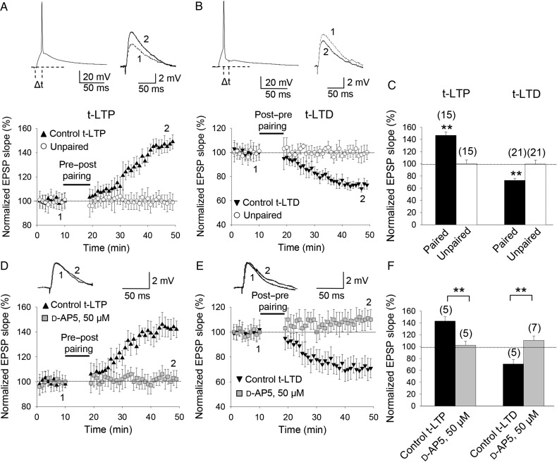 Figure 2.