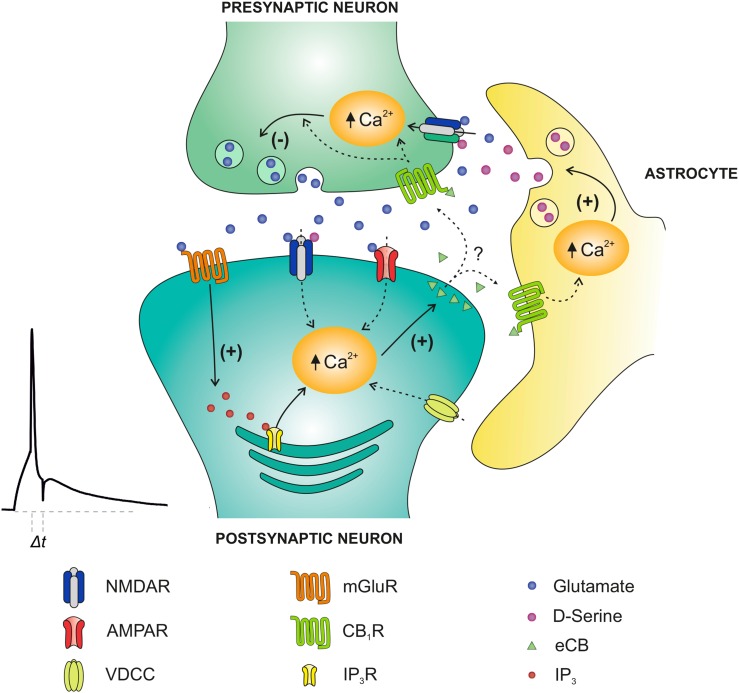 Figure 12.