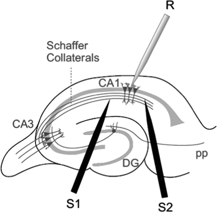 Figure 1.