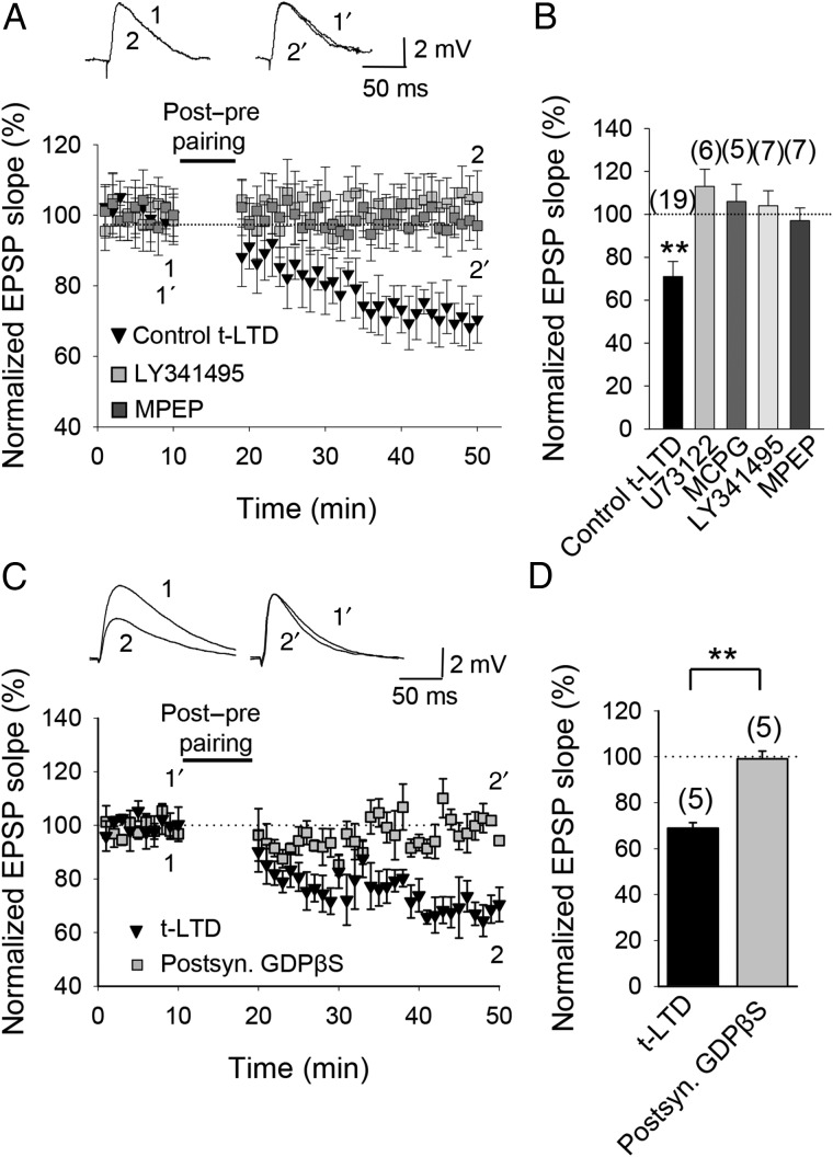 Figure 6.