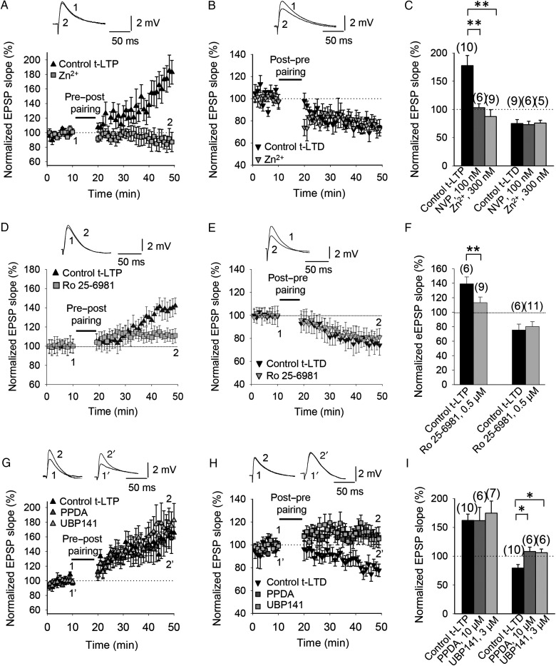 Figure 4.