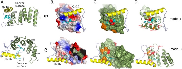 Fig 5