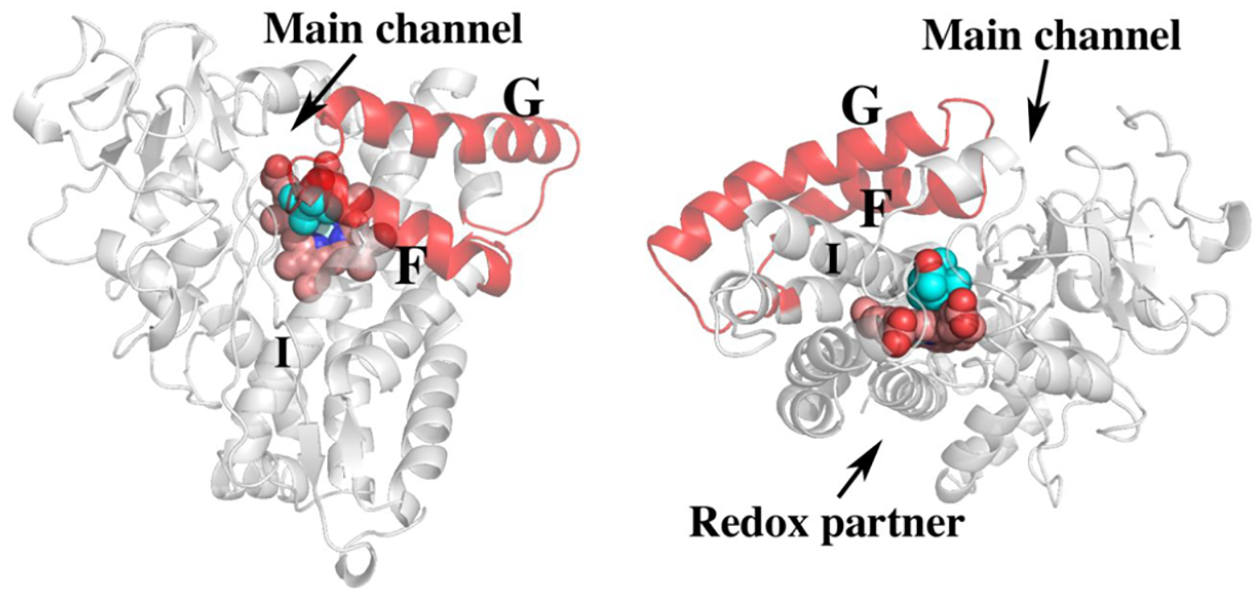 Figure 2.