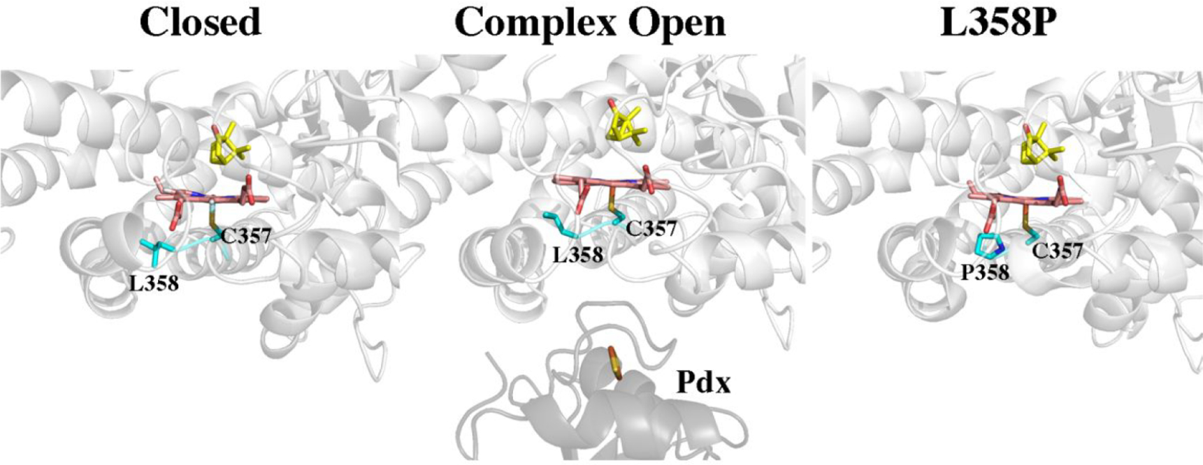 Figure 7.