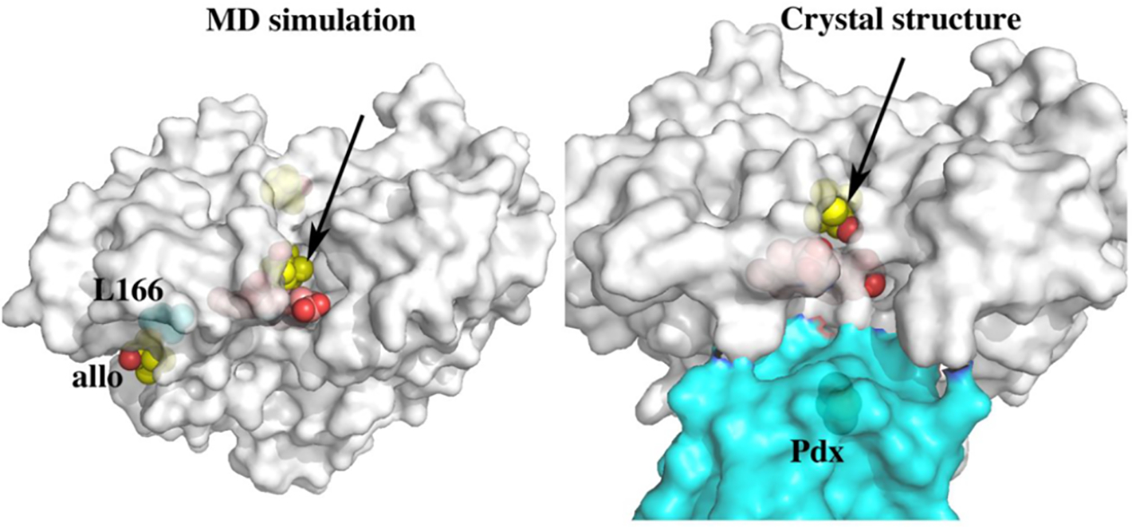 Figure 6.