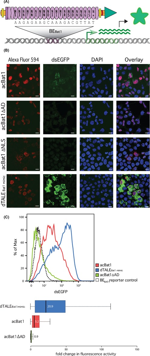 Figure 3.