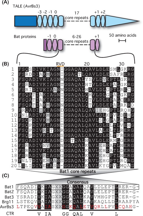 Figure 1.