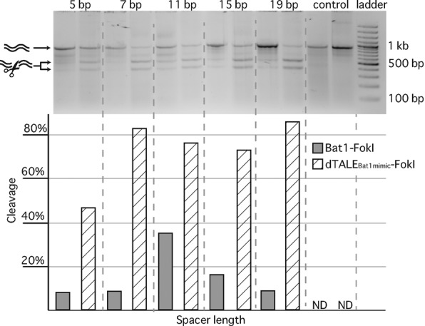 Figure 4.