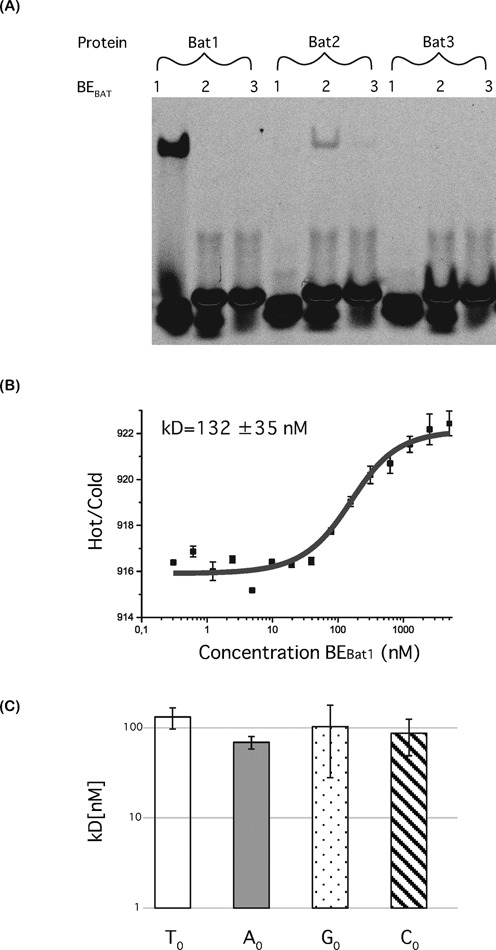 Figure 2.