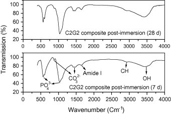 Fig. 7b