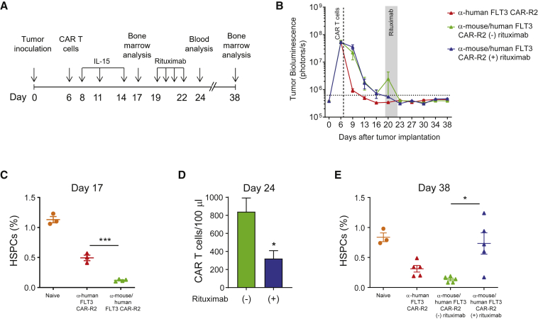 Figure 6