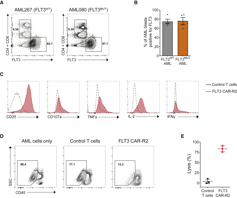 Figure 4