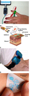 Figure 3: