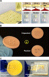 Figure 4:
