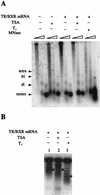 FIG. 5.