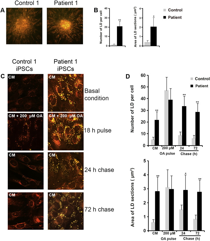 Fig. 4