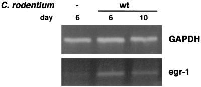 FIG. 6