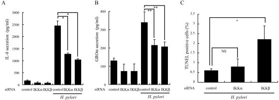 FIG. 5.