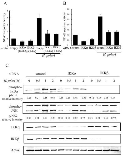 FIG. 1.