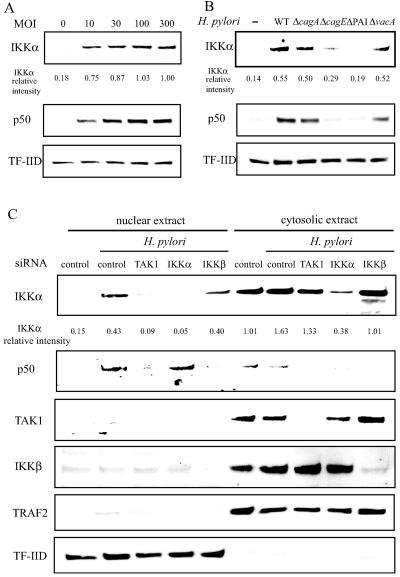 FIG. 4.