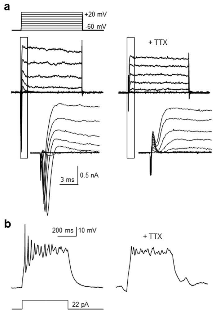 Figure 6