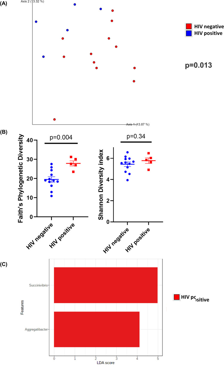 FIG 3