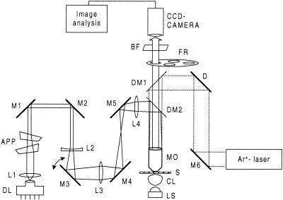 FIG. 1