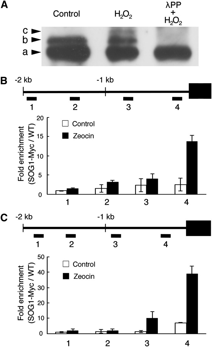 Figure 9.