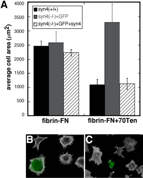 Figure 5.