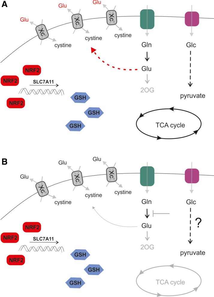 FIG. 7.