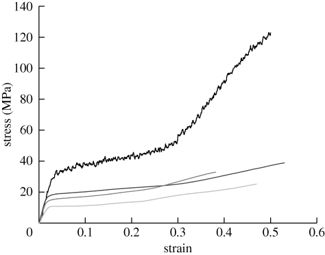 Figure 2.