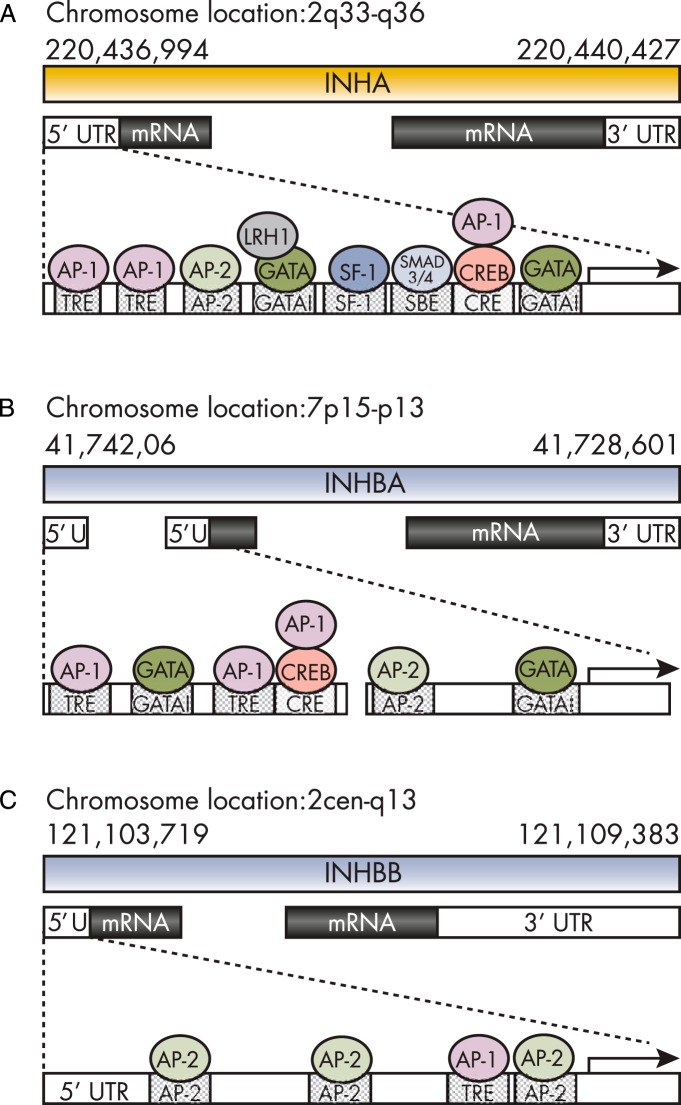 Figure 2.