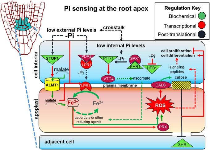 Fig. 7.