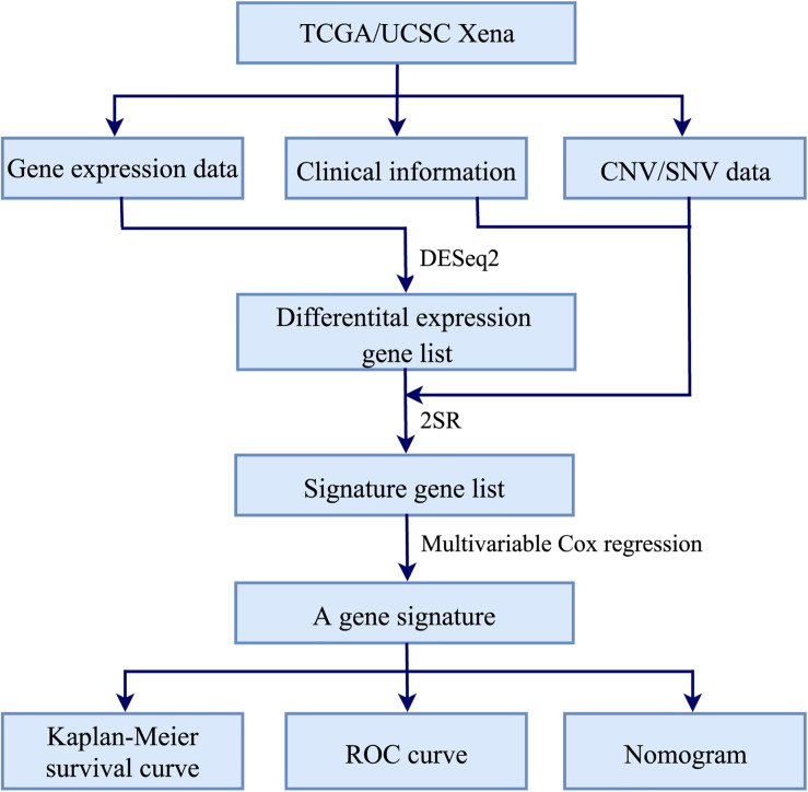 FIGURE 1