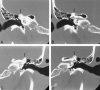 <sc>fig</sc> 1.