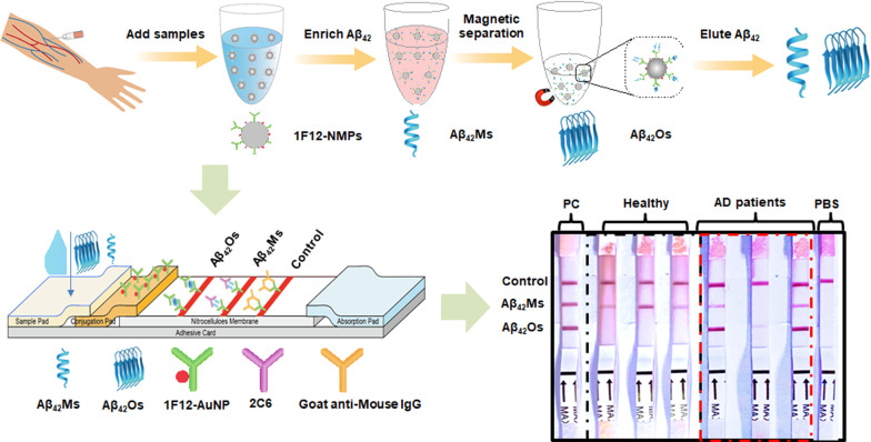 graphic file with name 12951_2021_1111_Figa_HTML.jpg