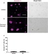 Figure 19