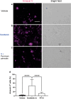 Figure 17