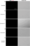 Figure 16