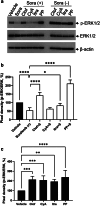 Figure 20