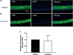 Figure 22