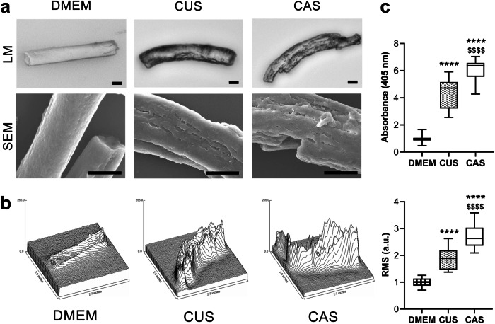 Fig. 4