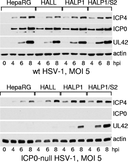 FIG. 7.