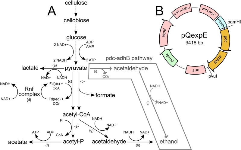 FIG 4