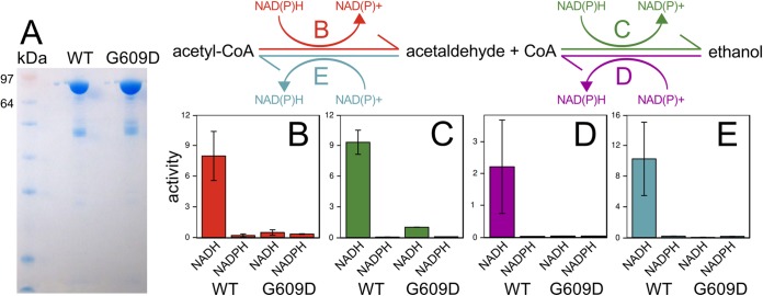 FIG 3