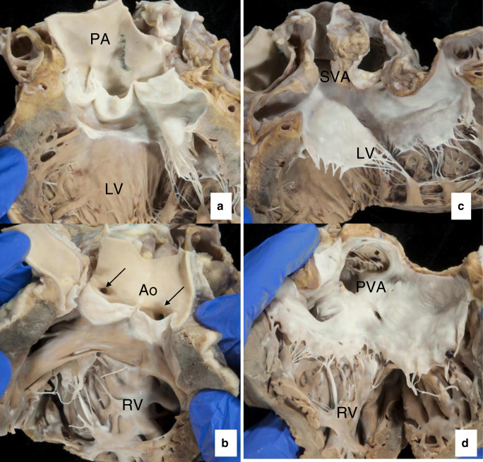 Fig. 8