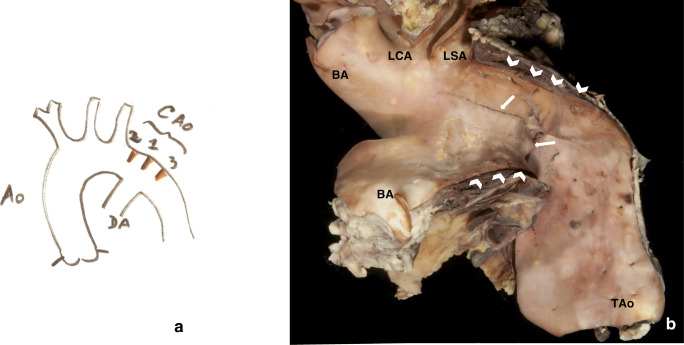 Fig. 6