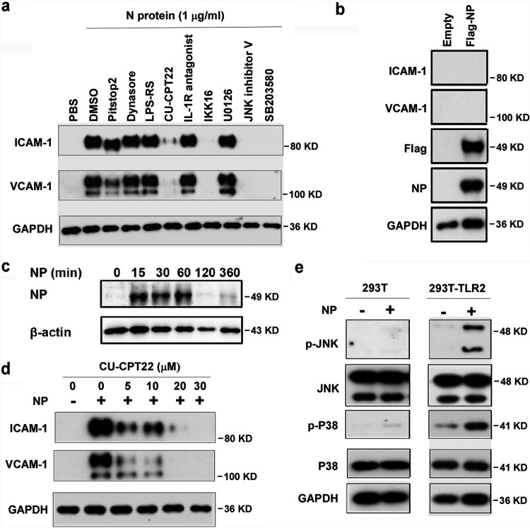 FIG 3