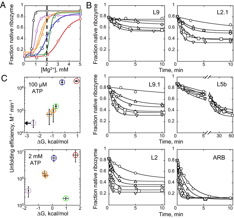 Fig. 2.